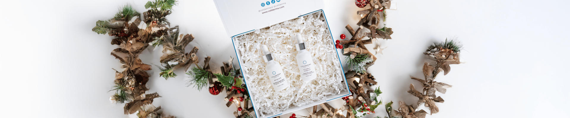 CellDerma Day and Night Duo Gift Set Christmas Content Image Banner Landscape