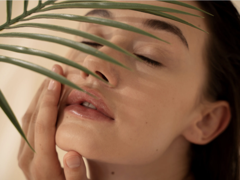 CellDerma Plant Model Face Content Image