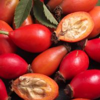 CellDerma Rosehip Image Content