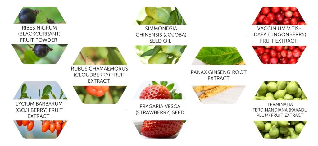 Pha scrub botanicals